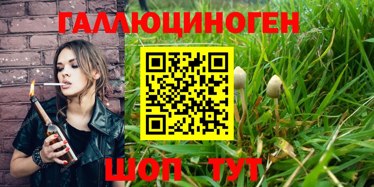 Галлюциногенные грибы Psilocybine cubensis Симферополь