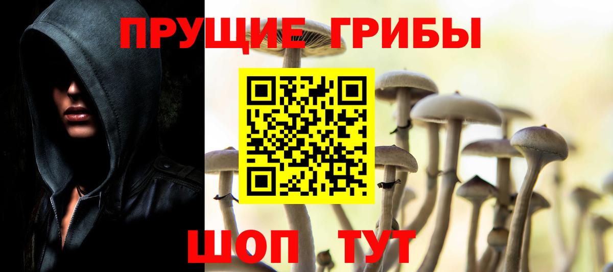 Псилоцибиновые грибы MAGIC MUSHROOMS  Вход с VPN  Симферополь 